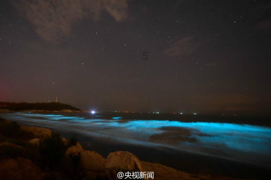 苏菲亚和安伯的休闲装