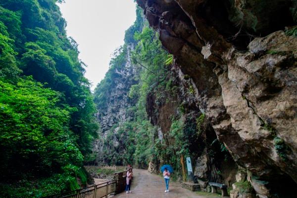 黑龙江省文旅厅发布新年感谢信:2023年实现旅游收入2215.3亿元