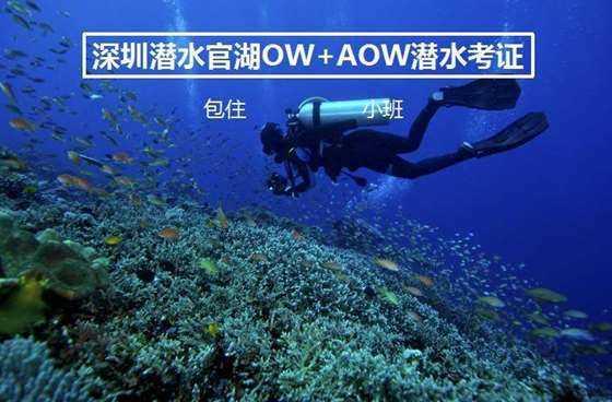 糖炒板栗非常美味,深受吃货的喜爱,糖炒板栗怎么做?-专业的有问必答平台